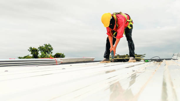 Best Rubber Roofing (EPDM, TPO)  in Great Bend, NY